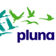 Pluna